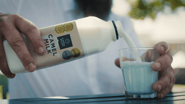 Camel Milk and Dairy Protein Allergy