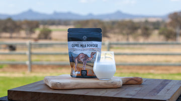 Camel Milk and Diabetes: Natural Support - Summer Land Camels