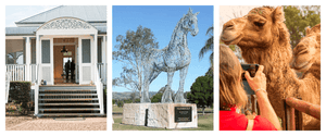 Explore the Scenic Rim:  Self-Drive Day-Trip Itinerary - Summer Land Camels