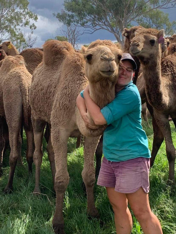 Eugene (OM23) SOLD - Summer Land Camels