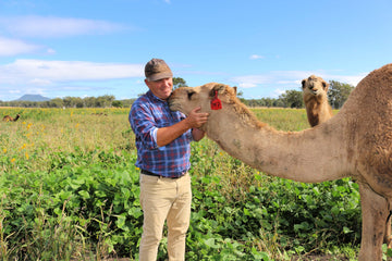 Regenerative Agriculture with Camels