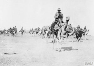 Imperial Camel Corps – The Battle of Beersheba