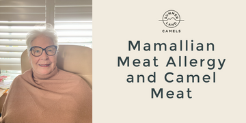 Can Someone with Mammalian Meat Allergy (MMA) or Alpha-Gal Syndrome Eat Camel Meat?