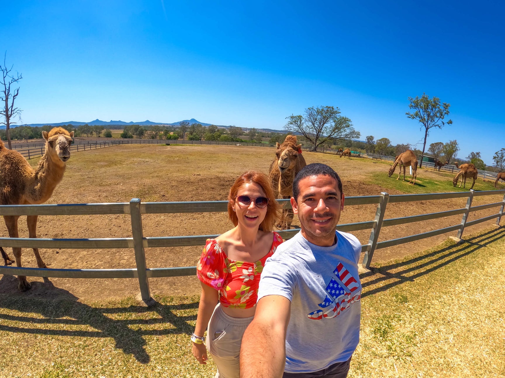 A Visit to Summer Land Camels (Article in Spanish)