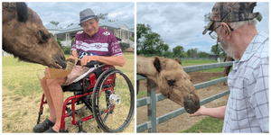 Accessible Tourism at Summer Land Camels - Summer Land Camels