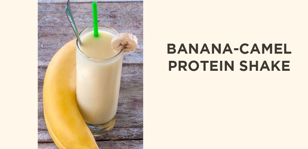 Banana-Camel Protein Shake - Summer Land Camels
