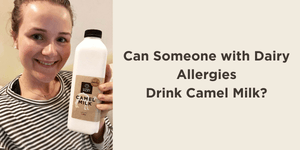 Can Someone with Dairy Allergies Drink Camel Milk? - Summer Land Camels