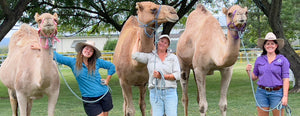 Celebrating Women and Girls in Science: Career Opportunities in Agriculture - Summer Land Camels