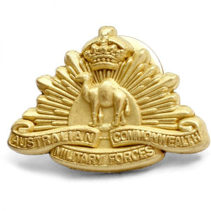 Chauvel and the Camel Corps - Summer Land Camels