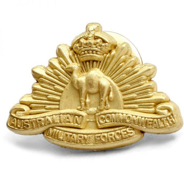 Chauvel and the Camel Corps - Summer Land Camels