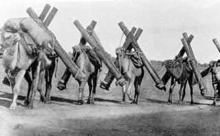 How Camels Helped Build Our Nation - Summer Land Camels