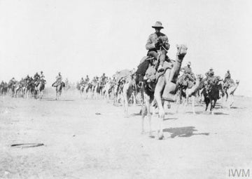 Imperial Camel Corps – The Battle of Beersheba - Summer Land Camels