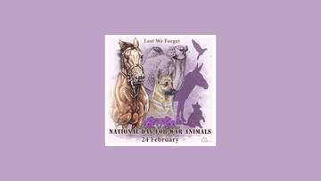 National Day for War Animals - Summer Land Camels