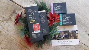 Our Top 3 Gift Ideas for Christmas - Summer Land Camels