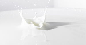 Skin and Gut Issues Halved in One Week with Camel Milk - Summer Land Camels
