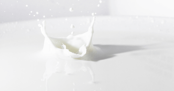 Skin and Gut Issues Halved in One Week with Camel Milk - Summer Land Camels
