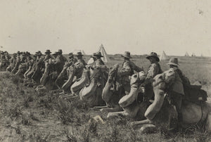 The Imperial Camel Corps - One Man's Story - Summer Land Camels