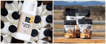 Why Camel Milk?  The Ancient Superfood - Summer Land Camels