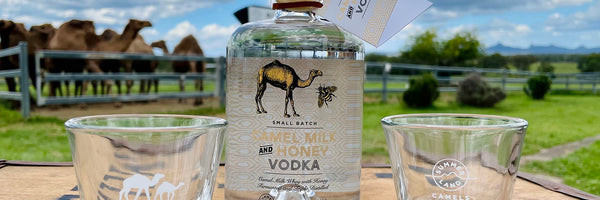 Camel Milk Vodka