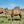 * Woolly Mammoth (356)
