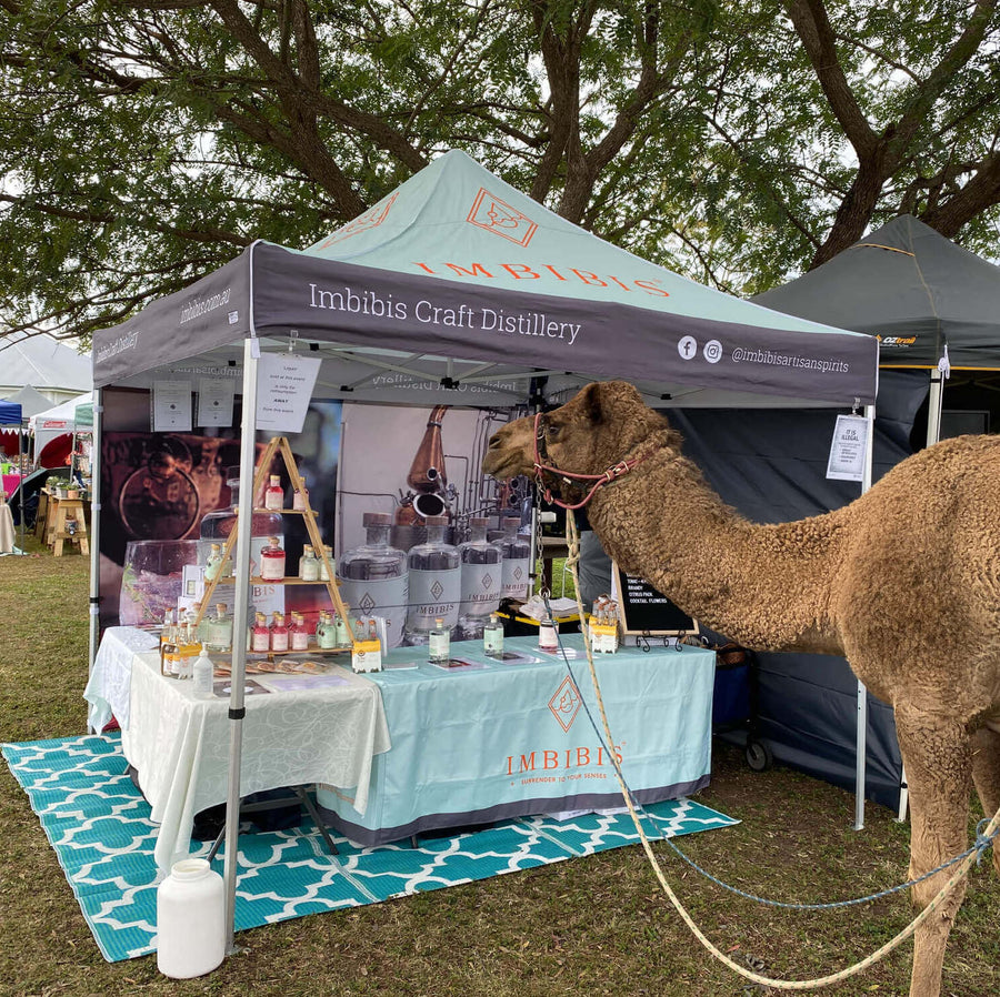 Markets & Festivals – Summer Land Camels