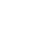 Summer Land Camels