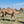 * Brown Light (120) - Summer Land Camels
