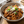 Camel Mince - Summer Land Camels