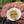 Camel Salami - Summer Land Camels