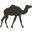 Summer Land Camels logo