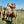 * Cheeky (131) - Summer Land Camels