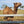 * Ernie (GRM23) - Summer Land Camels