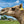 James (YM12) SOLD - Summer Land Camels