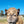 Logan (YM45) SOLD - Summer Land Camels
