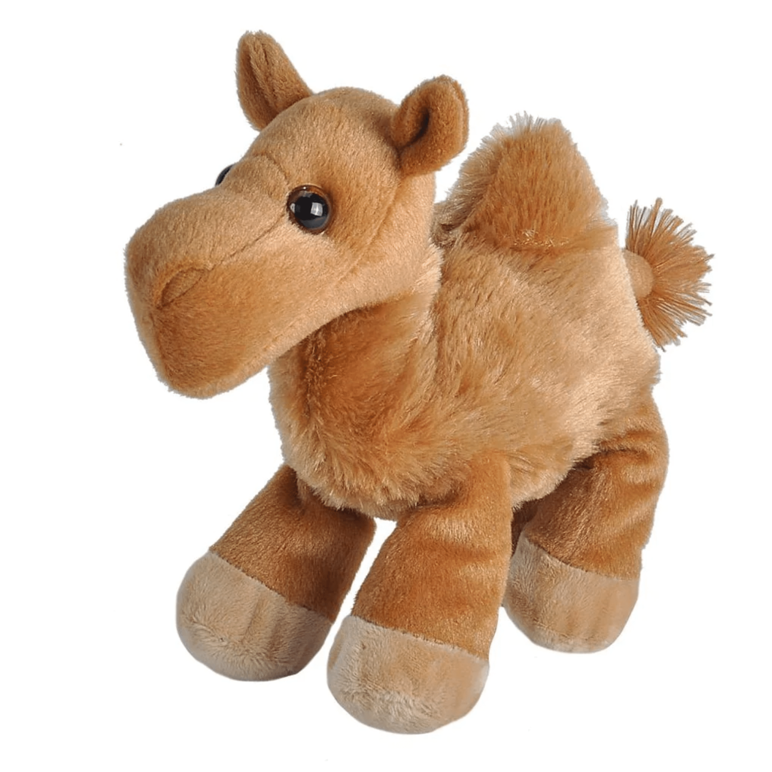 Mini Action Camel Soft Toy Camel - Small – Summer Land Camels