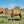 * Woolly Mammoth (356) - Summer Land Camels